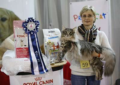 �������� ����� '���-�����-������' 22-23 ������ 2014 9-59-169A9533 copy.jpg